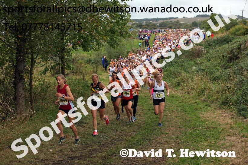 Senior womens Start Fitness North Eastern Harrier League, Tanfield, County Durham. Photo: David T. Hewitson/Sports for All Pics
